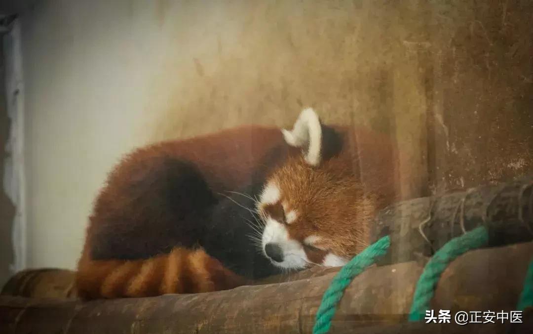 夏天睡眠质量差刺眼,夏天睡眠质量特别差