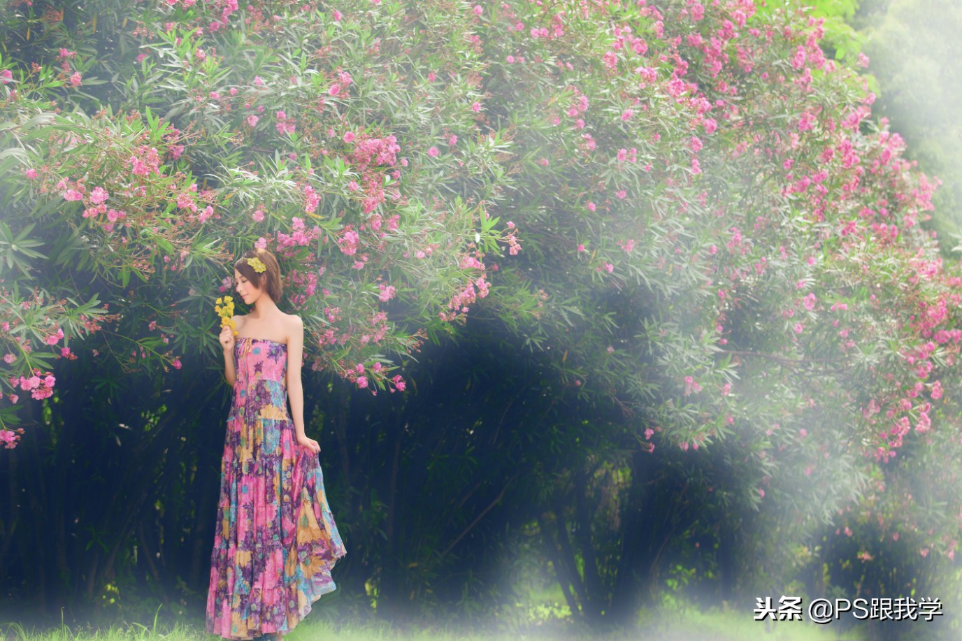 photoshop中进入快速蒙版,ps终极技巧如何使用快速蒙版工具