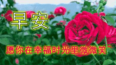 早安动感图片问候语大全,清晨最美丽早安祝福语动态图片