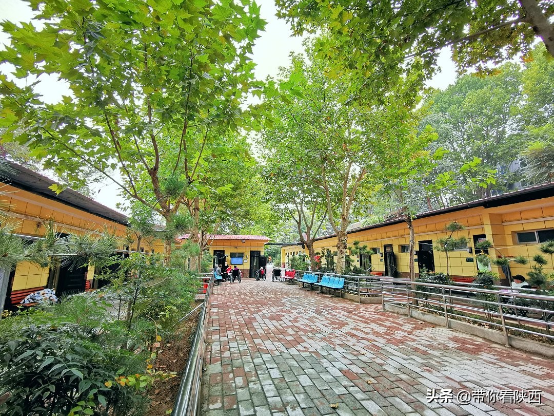 谷泽天下生态农场走进渭南市景华医养院举办重阳节爱心慰问活动