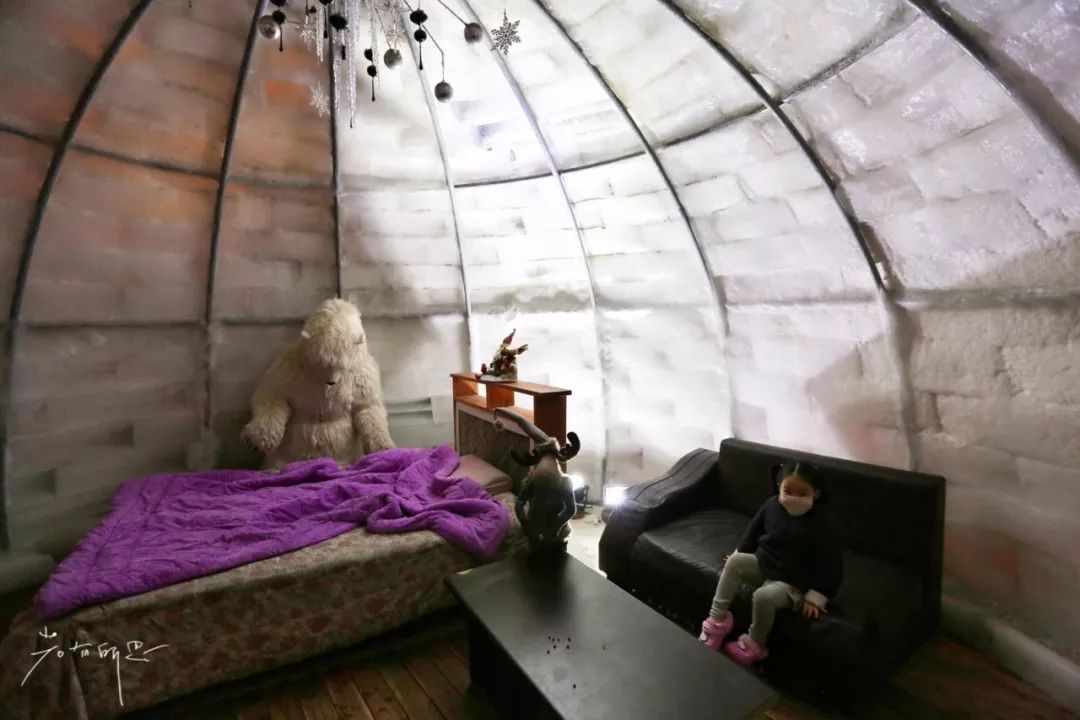 济州岛应该冬天去还是夏天去,冬日济州岛怎么玩