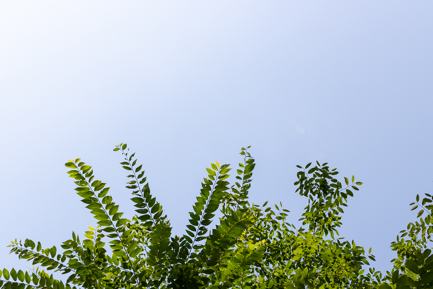 佳能最入门单反eos700,入门单反相机佳能eos60d