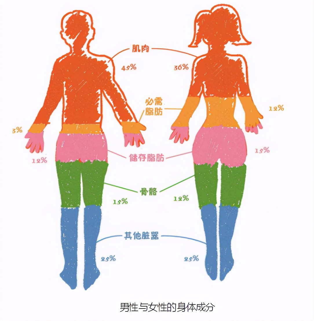 身体体质自检表您一定要测试一下,判断身体健康指数的方法