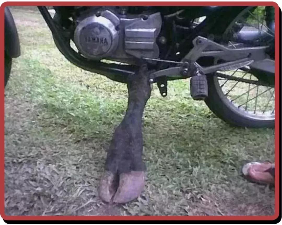 非洲黑叔叔的人体物流有多猛？