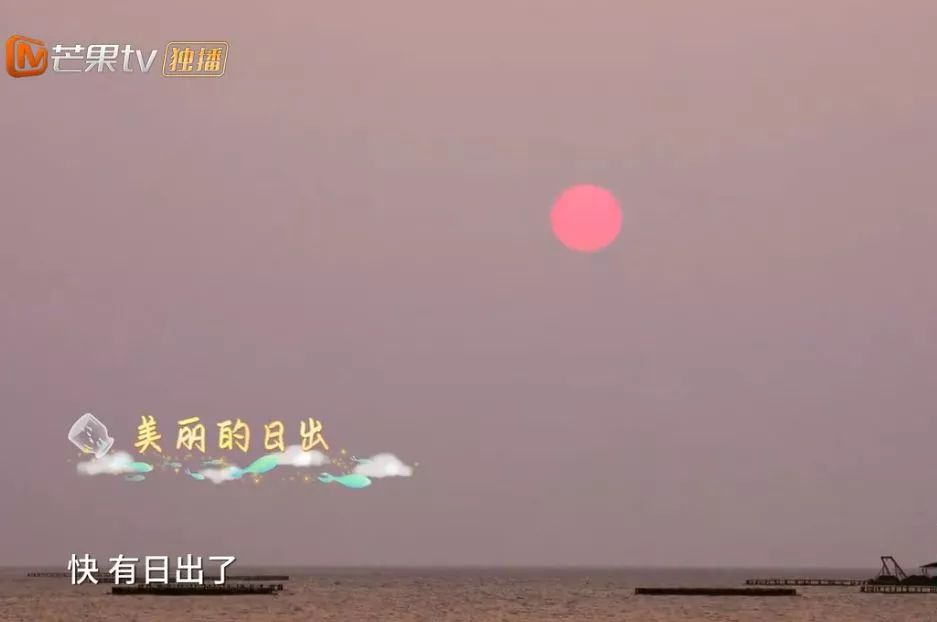 《哈哈农夫》西岛站：王源、杨超越、贾乃亮、金瀚说出明星的烦恼