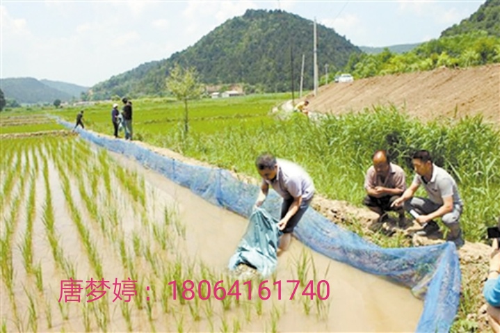 泥鳅养殖与市场前景,泥鳅养殖前景及利润