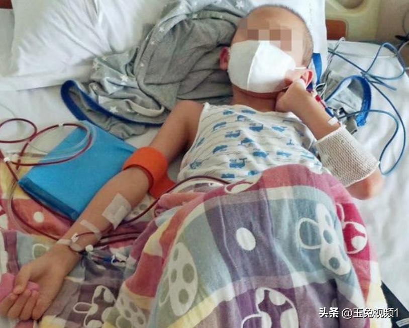 关爱患者共同抗癌送你一朵小红花,推荐电影送你一朵小红花以及理由