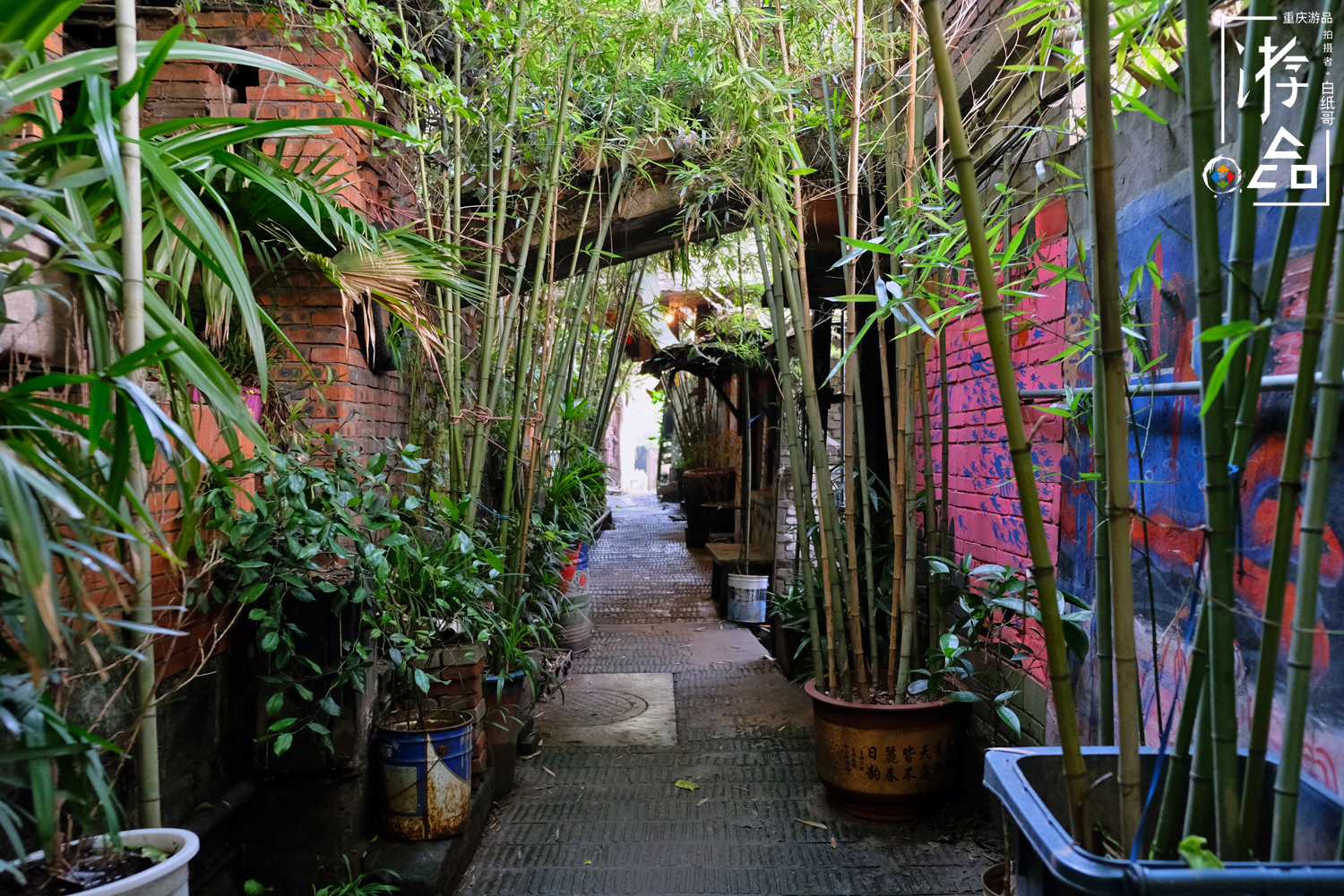 谁都逃不掉命运,谁都逃不掉的命运