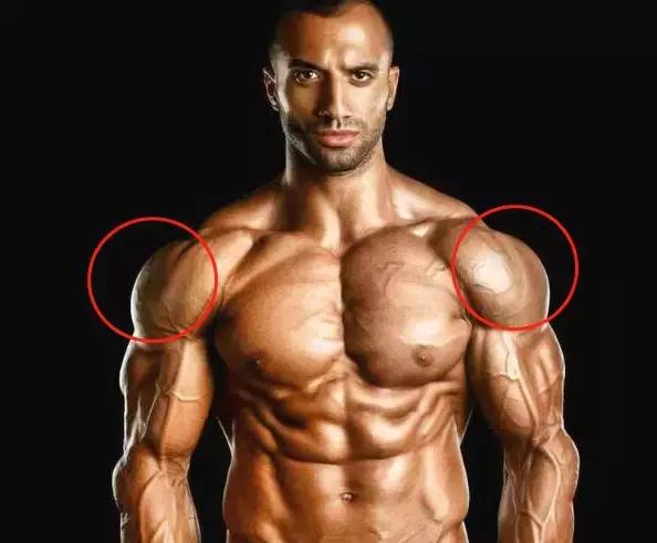 三角肌怎么练才不伤肩,如何把三角肌练得更大