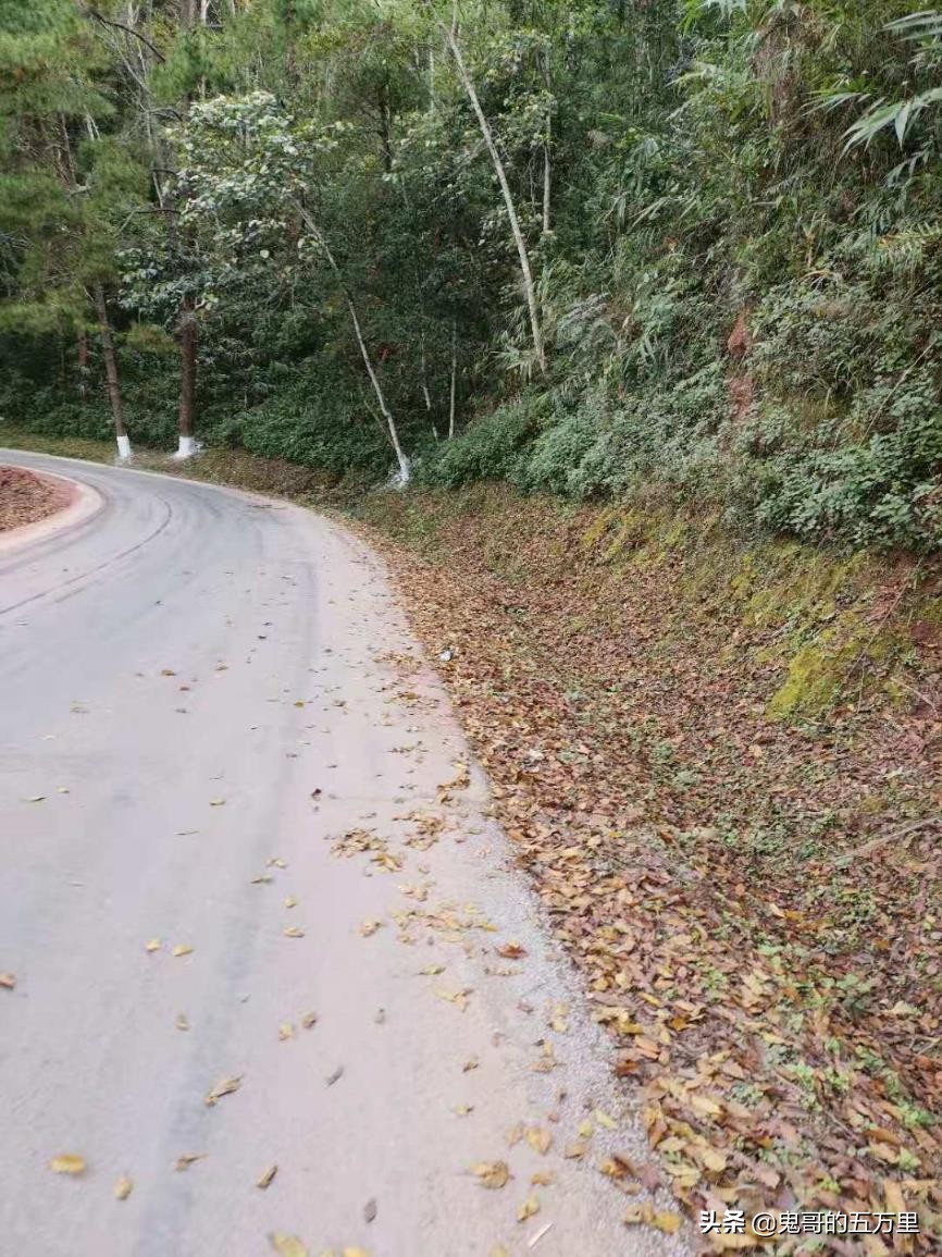 鬼哥的五万里D108骑记：给回族商人点赞（曼腊乡-整董镇）