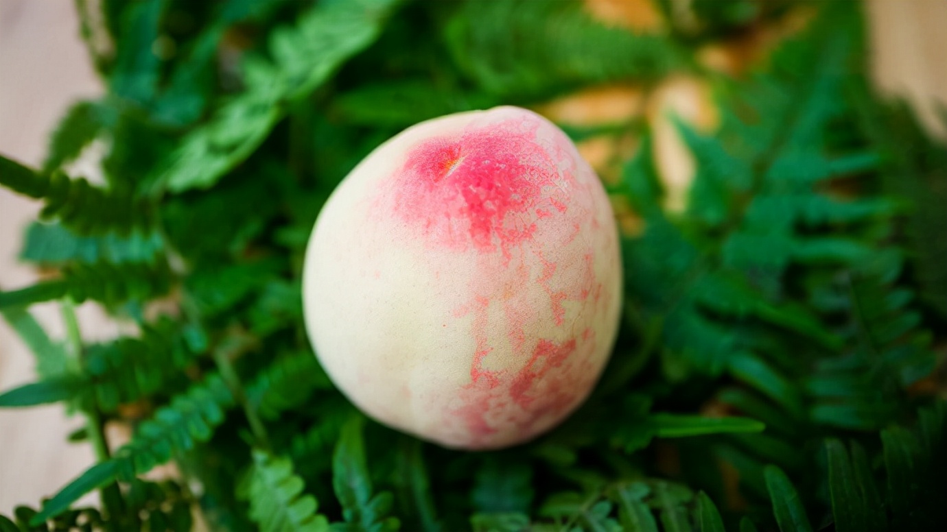 秋季多给家人吃“白色六宝”，润秋燥养护肺，应季而食才舒适