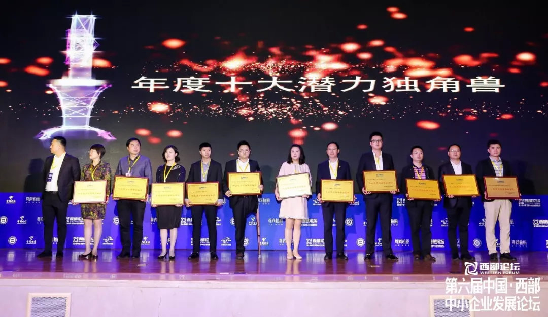 成都音像出版社有限公司,成都电子音像出版社