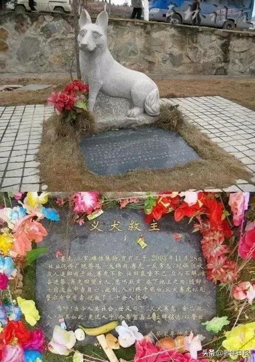 朋友圈最火的6张图片道破人性,朋友圈最火的4张图片道破人性