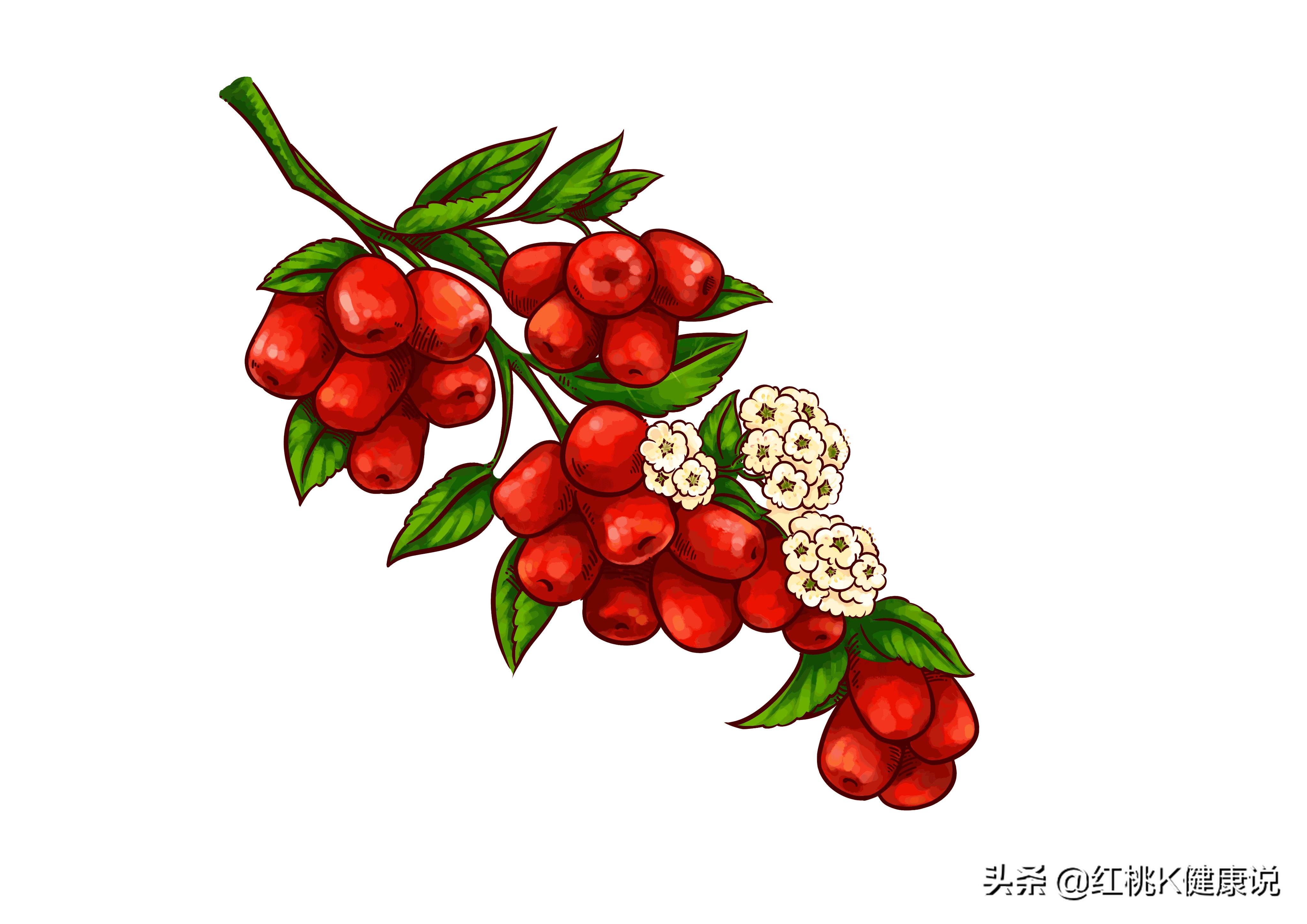 红枣到底有没有补血的功效,每天吃多少红枣能起到补血的功效