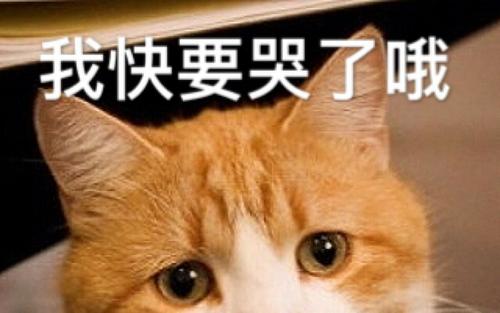 赵薇情深深雨蒙蒙重聚,情深深雨蒙蒙演员今昔对比赵薇