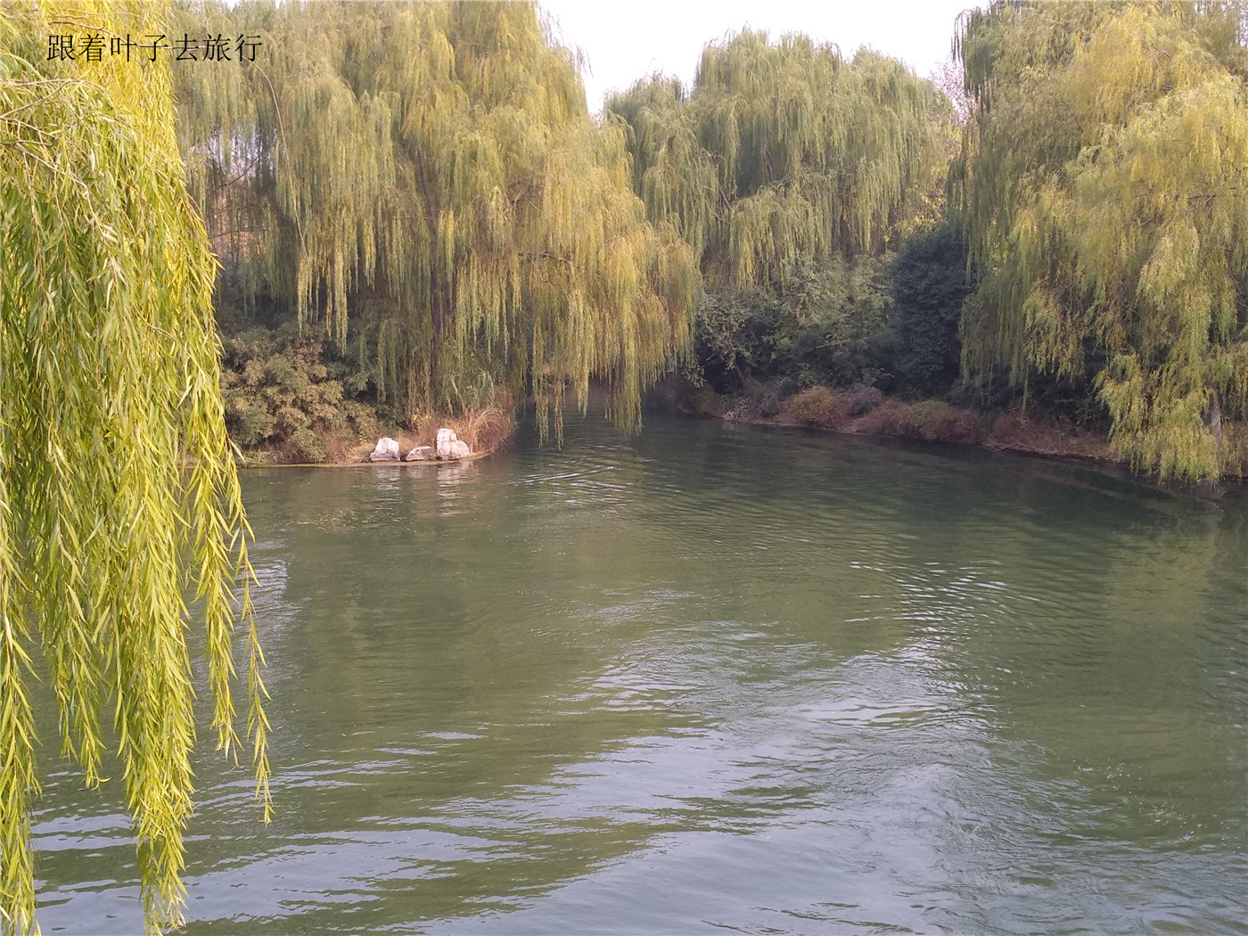 大明湖畔南丰祠雨荷厅前的荷花池,大明湖南丰祠的传说