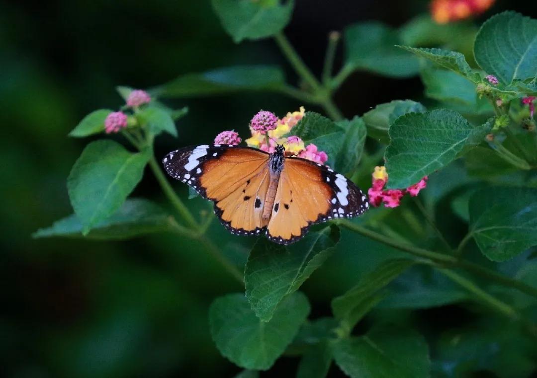 暑假遛娃周边游地方推荐,夏季周边遛娃一日游旅游景点推荐