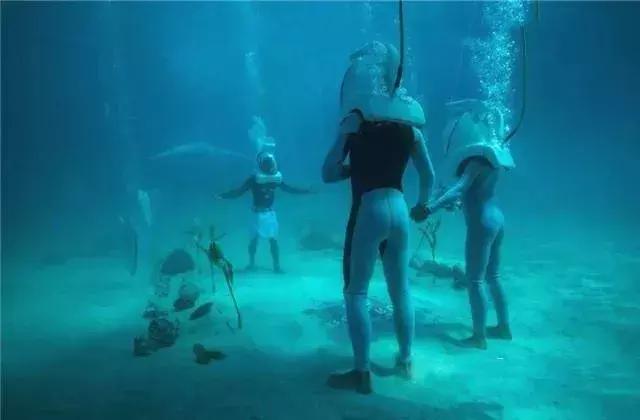 大溪地海岛婚礼,旅行结婚大溪地