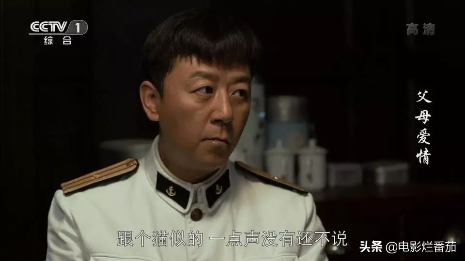 父母爱情为何拿奖,父母爱情总共获得几回奖