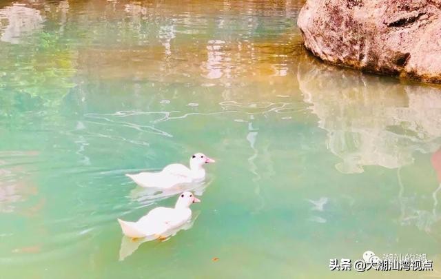 潮州景点幽谷逸林,潮州归湖畲族休闲谷