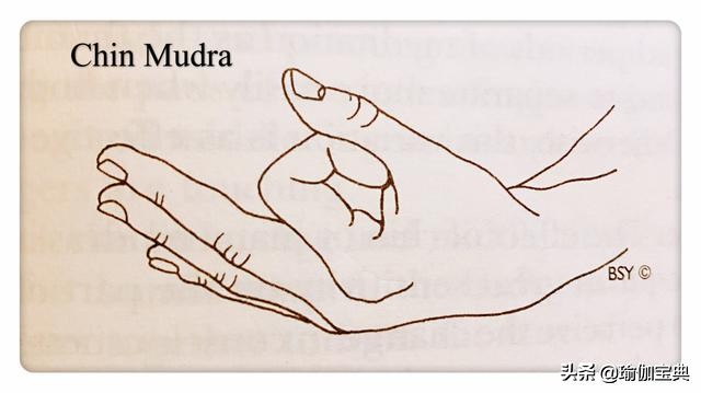 缓解疫情的瑜伽动作,疫情期间的瑜伽体式