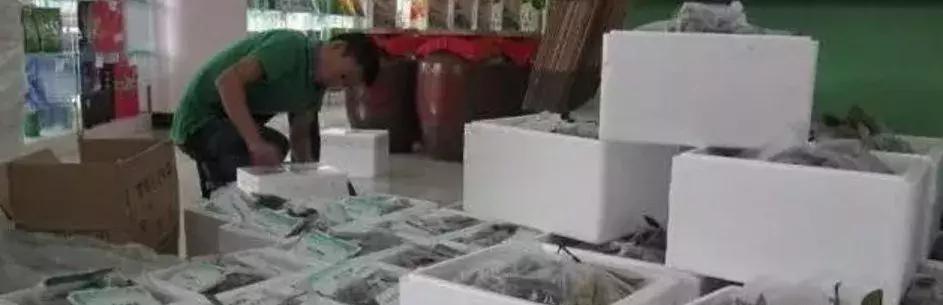 水果运输包装需注意什么,水果发快递包装规范