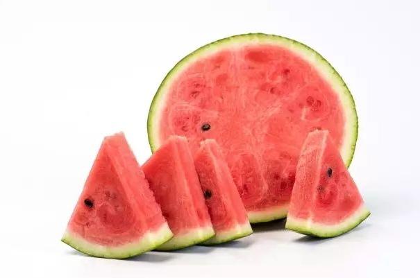 比熊犬最怕三种水果,比熊犬幼犬都吃什么水果