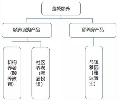 与康养、教育巨头合作,深剖蓝城集团的产业方向和路径