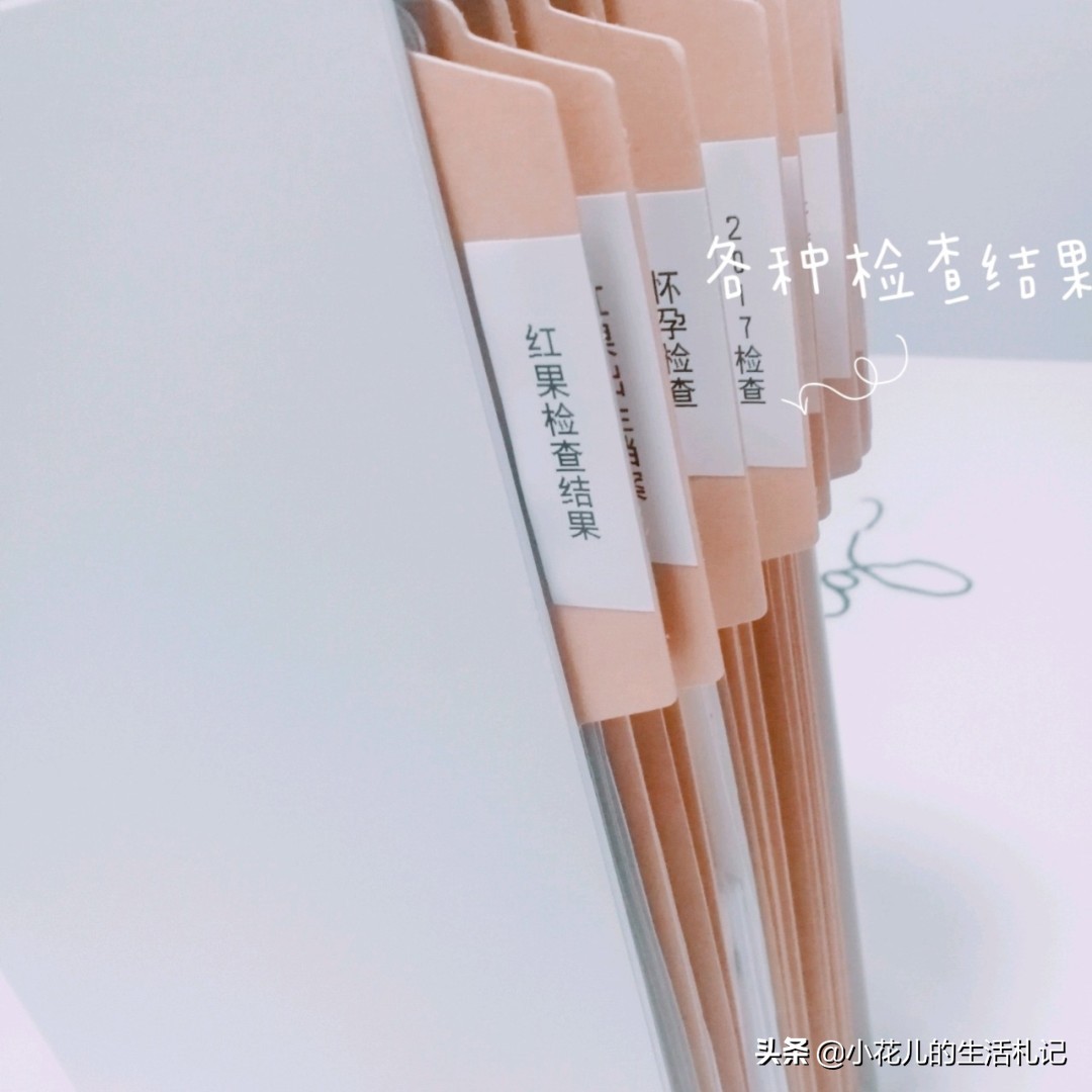 家里重要文件怎样收纳安全,家里各种重要文件谁保管最好