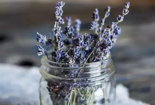 QQ收到你的来信，还是要对你说：“珍重，后会无期了！”