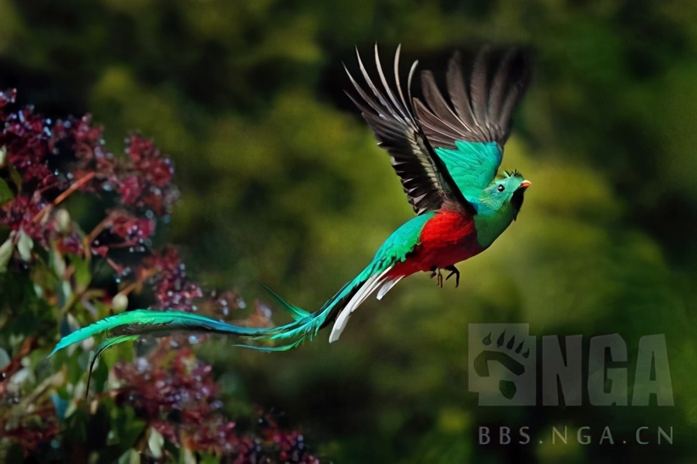 危地马拉十大冷知识,危地马拉有什么特别的