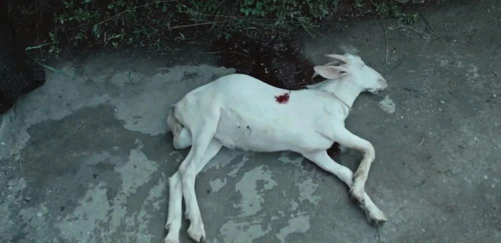 《误杀》：一部买了印度版权在讲泰国故事的中国电影（内含剧透）