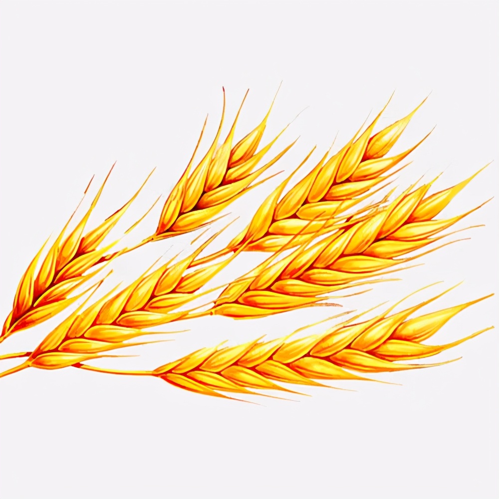 用法律守护每一颗稚嫩的心,今天送别袁老每句文案都让人泪目