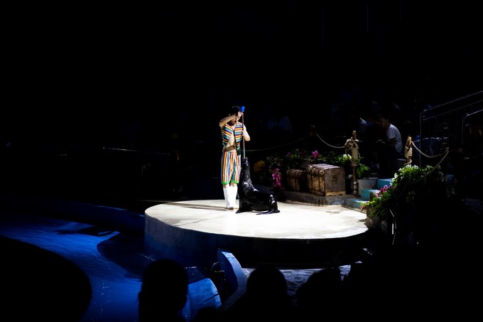 儿童亲子游怎么玩,室内亲子游必玩100例