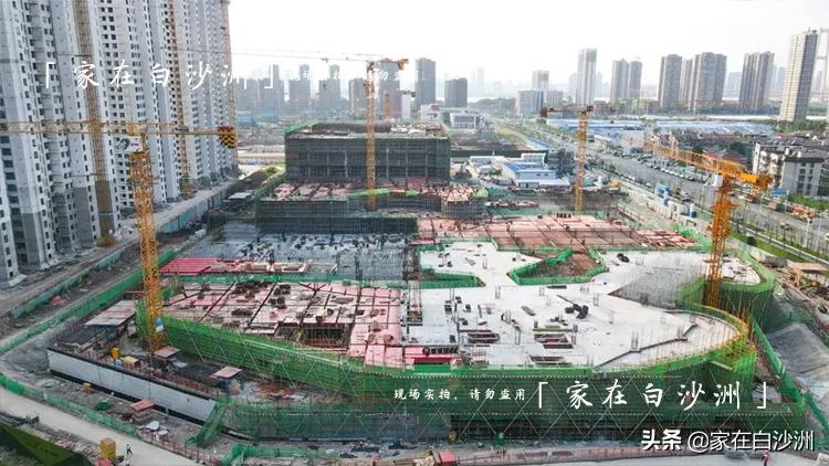 洪山万科viviland空中花园,洪山万科广场viviland店