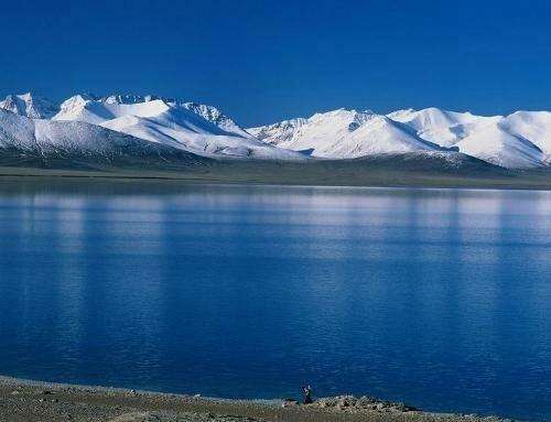 长篇小说连载《飞狼》第一部第五章最后的考验1