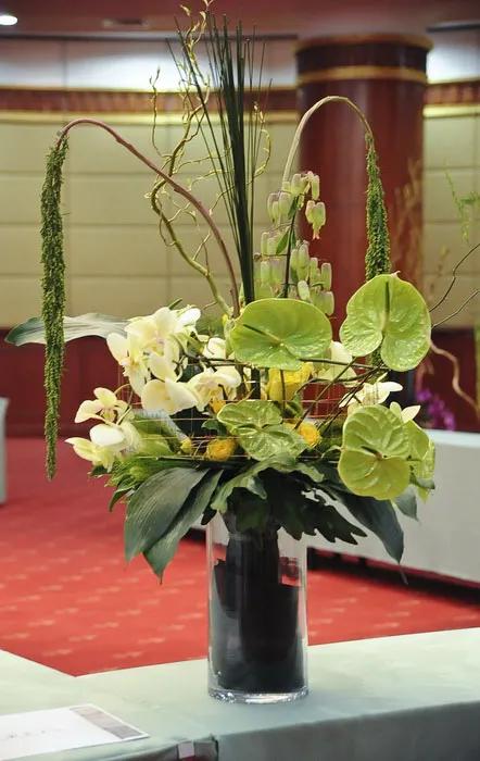 50种花材大全,常用鲜切花品种及图片