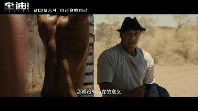 2019开年电影攻略,2019年开年电影抢先看