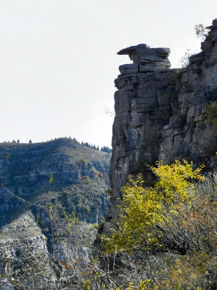 挡不住的惬意！来博山这个私藏胜地，带你过向往的生活