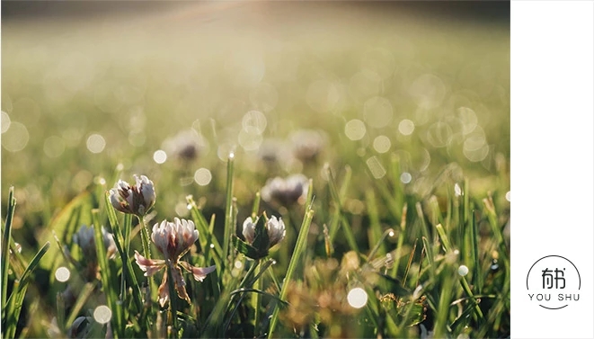 有人提议成立“拒绝插管CLB”临终时一些过度医疗，你能接受吗？