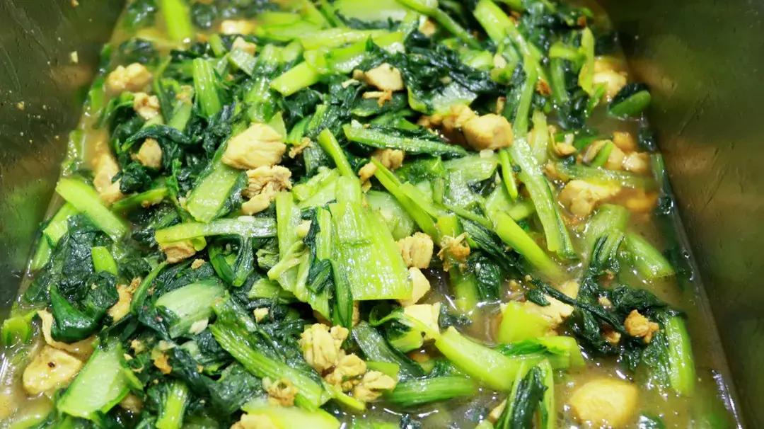 青春记实,青春记大学生在行动