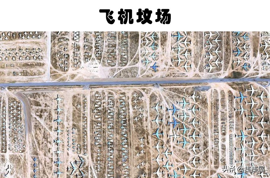 谷歌地图发现了几个诡异的地方,谷歌地图拍到的5个生物