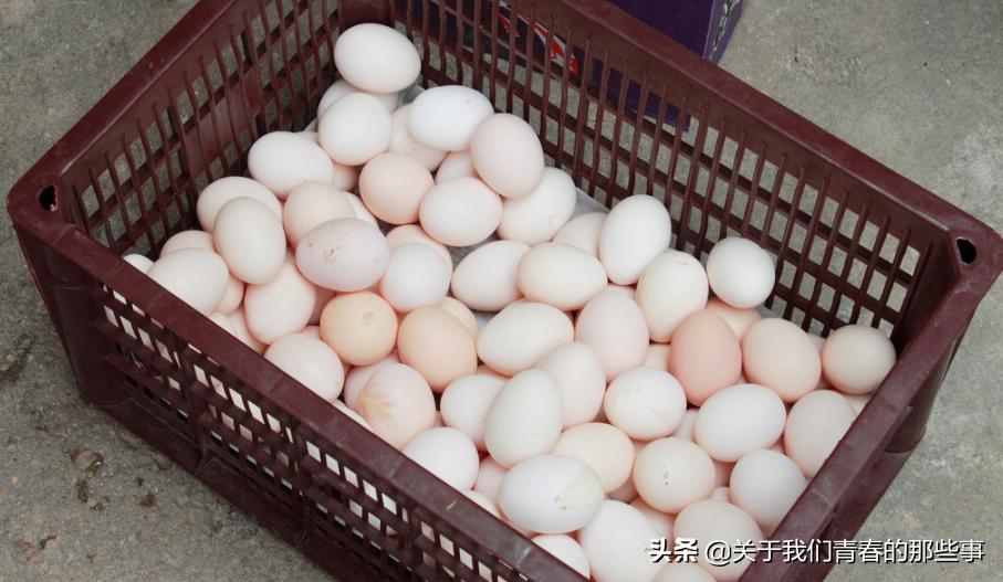 夏天，鸡蛋别放冰箱了！外婆教我2个方法，1个月不坏，和鲜蛋一样
