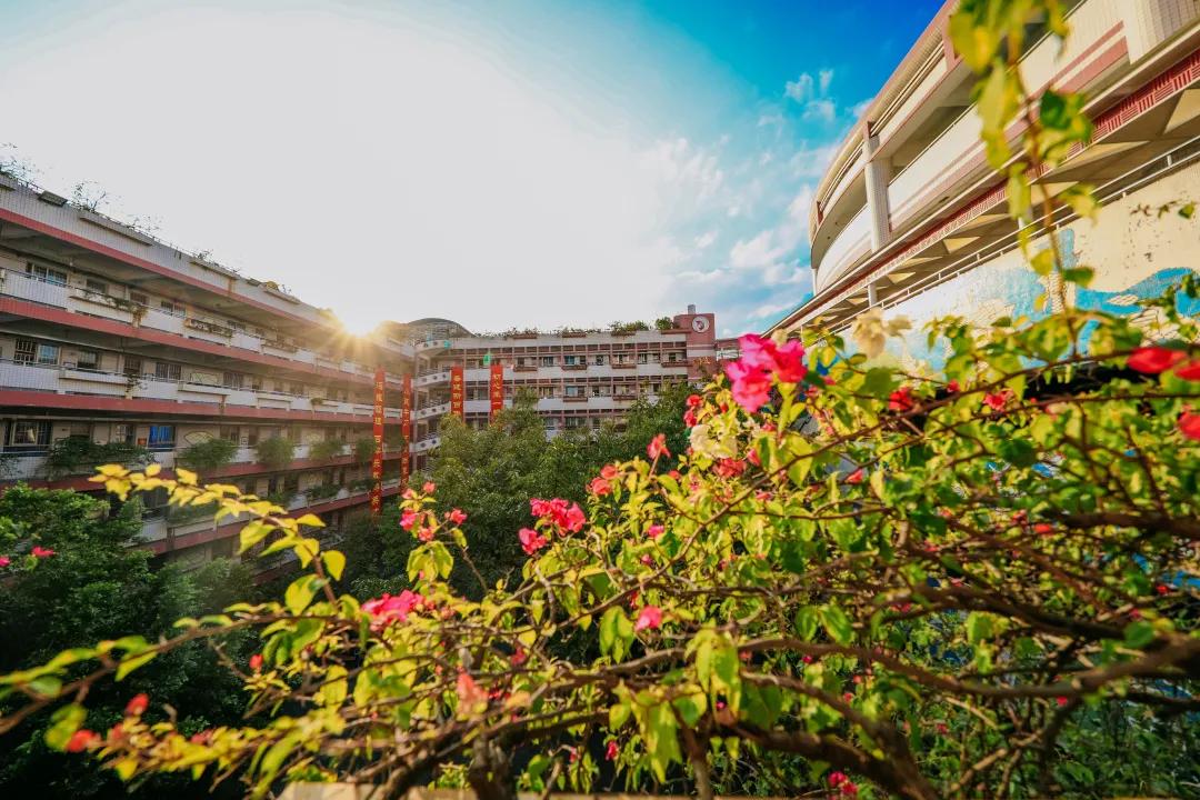 漫游东游西荡,漫游深圳城市