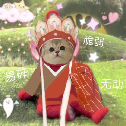 母胎solo19年什么时候可以脱单,母胎solo女怎么能快速脱单