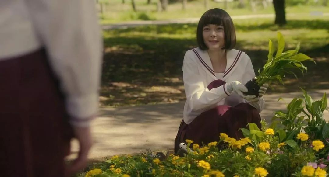 银幕凶案｜少女自杀事件的真相，竟有六个截然不同的版本