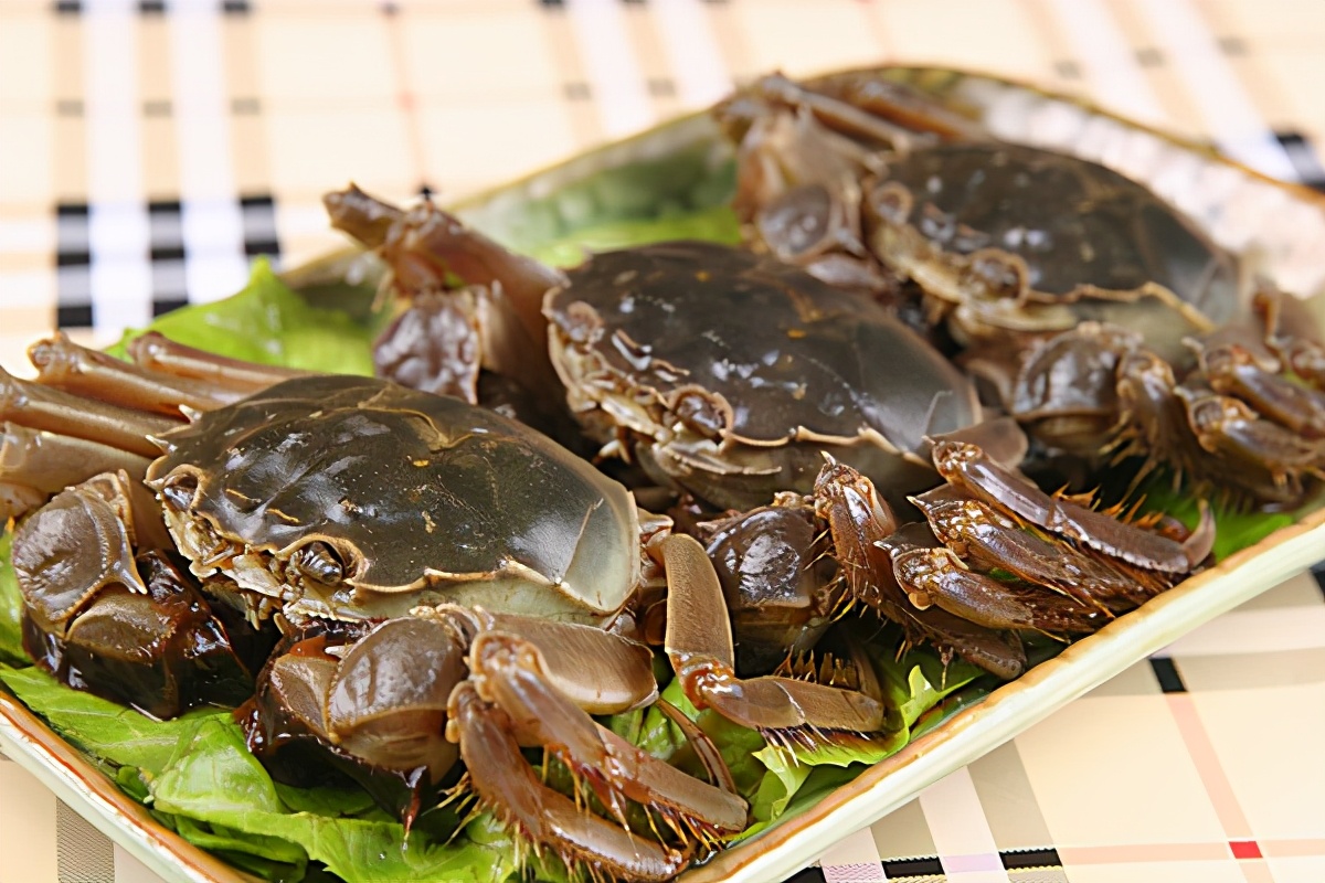 蟹稻共养丰收,蟹稻共生