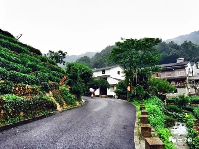 18万冰岛普洱茶,冰岛18年茶价格