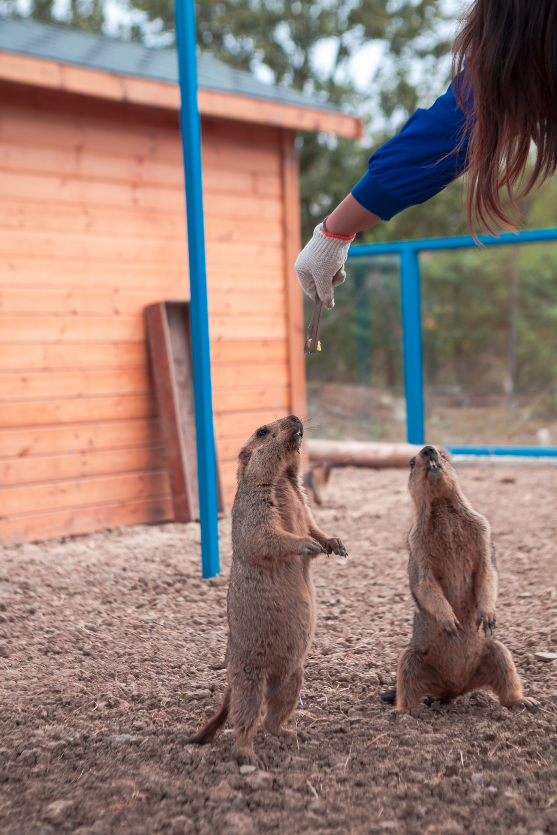 秋天的无锡美的醉人，去无锡旅行，这些好地方不要错过了