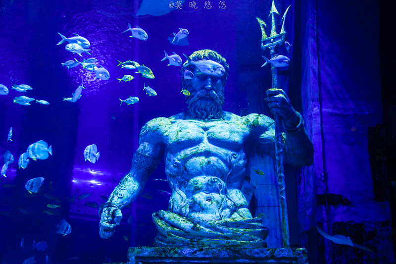 海洋极地海洋世界攻略,正佳极地海洋世界白鲸海象